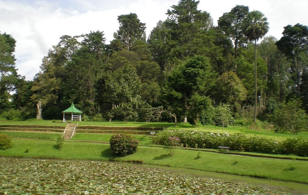 Garden nuwaraeliya
